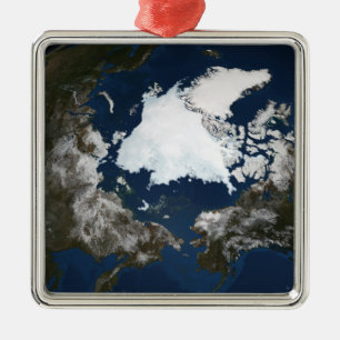 Arctisch zee metalen ornament