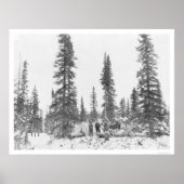 Arctische cirkelCampers 1919 Poster (Voorkant)