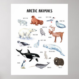 Arctische Dieren Educatieve Klasposter Poster