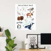 Arctische dieren | Leerleslokaal onderwijs Poster (Thuiskantoor)