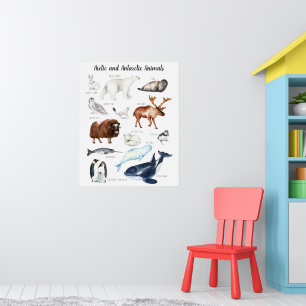 Arctische dieren   Leerleslokaal onderwijs Poster