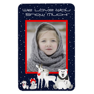 Arctische dieren magneet