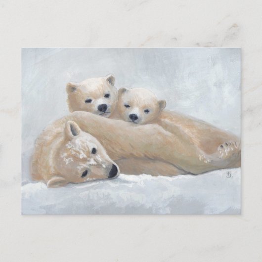 Arctische familie briefkaart (Voorkant)