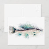 Arctische grijsvorming (Thymallus arcticus) Zalmku Briefkaart (Voorkant / Achterkant)