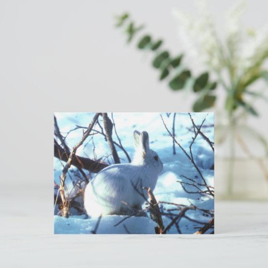 Arctische haas in sneeuw briefkaart (Staand voorkant)
