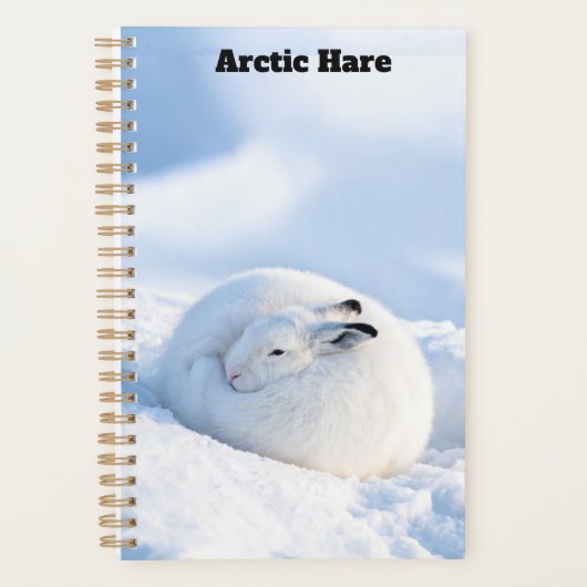 Arctische Haas Planner (Voorkant)