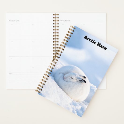 Arctische Haas Planner (Display)