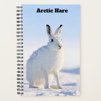 Arctische Haas Planner