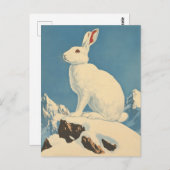 arctische haas-vintage briefkaart (Voorkant / Achterkant)
