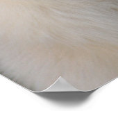 Arctische portretten poster (Hoek)