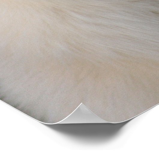 Arctische portretten poster (Hoek)