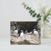 Arctische Puffins in Svalbard Briefkaart (Staand voorkant)