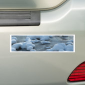 Arctische scène bumpersticker (Op auto)