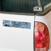 Arctische scène bumpersticker (Op Truck)