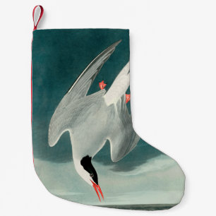 Arctische Stern Audubon Vogel Wildeleven Schilderi Kleine Kerstsok