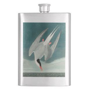 Arctische stern Audubon vogel wildlife schilderij Flacon
