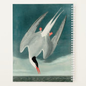 Arctische stern Audubon vogel wildlife schilderij Planner (Achterkant)