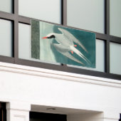 Arctische stern Audubon vogel wildlife schilderij Spandoek (Buitenkant Gebouw)