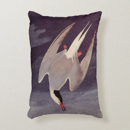 Arctische Stern door John James Audubon, Vintage V Accent Kussen