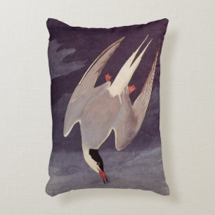 Arctische Stern door John James Audubon, Vintage V Accent Kussen