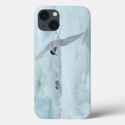 Arctische Terns iPad Air Case van RoseWrites (Achterkant)