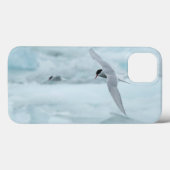 Arctische Terns iPad Air Case van RoseWrites (Achterkant (horizontaal))