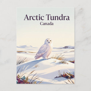 Arctische Toendra Canada Briefkaart