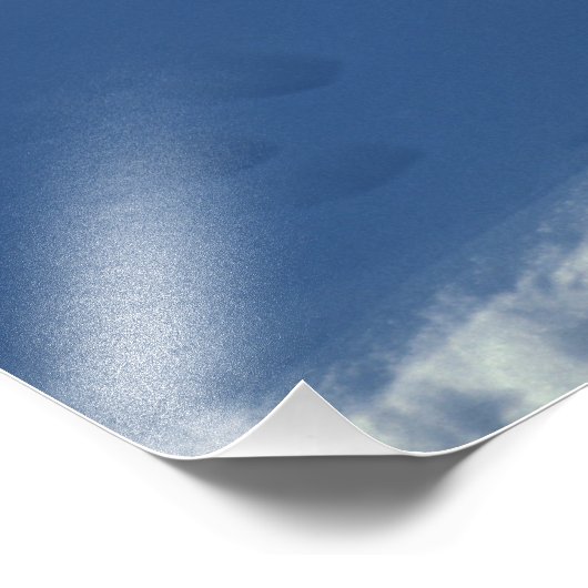 Arctische vos (Alopex lagopus) Een poolvos Foto Afdruk (Hoek)