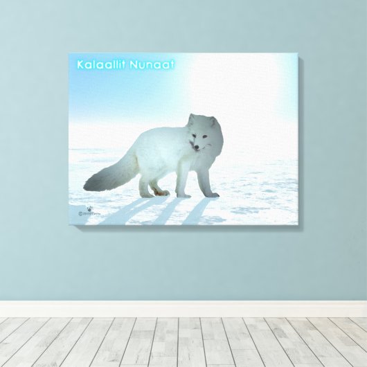 Arctische vos - Groenland Canvas Afdruk (Insitu (Houten vloer))