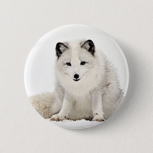 Arctische vos in de sneeuw ronde button 5,7 cm (Voorkant)