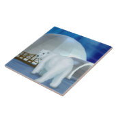 Arctische wind tegeltje (Zijkant)