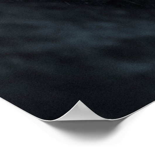 Arctische (Witte) Wolf Poster (Hoek)