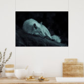 Arctische (Witte) Wolf Poster (Keuken)