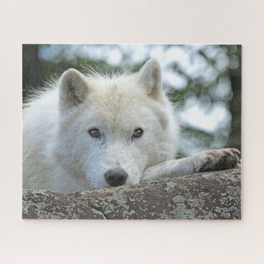 ARCTISCHE WOLF 16x20 INCH Legpuzzel (Horizontaal)