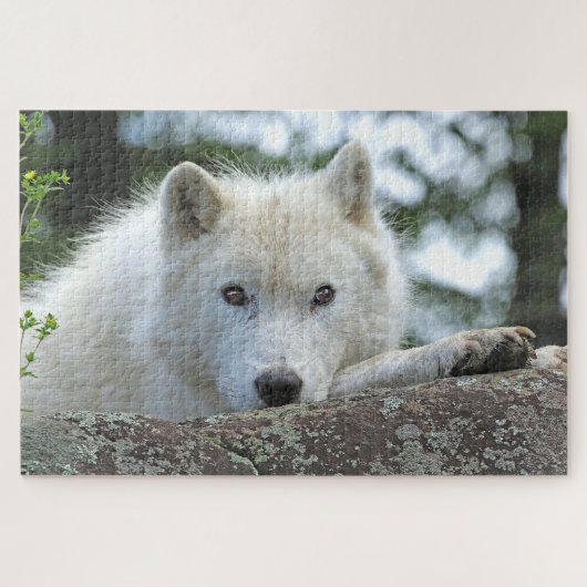 ARCTISCHE WOLF 20x30 INCH Legpuzzel (Horizontaal)