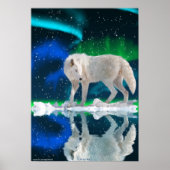 Arctische Wolf, Aurora Wildlife Art Poster (Voorkant)