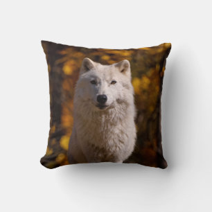 arctische wolf op rots kussen