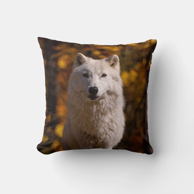 arctische wolf op rots kussen (Voorkant)