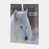 Arctische Wolf Sierstuk Glas Ornament (Voorkant links)
