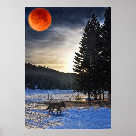 Arctische Wolf, Snow & Lake Wildlife Art Poster (Voorkant)