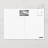 Arctische wolf - witte wolf briefkaart (Achterkant)