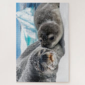 Arctische zeehondenpuzzel legpuzzel (Verticaal)