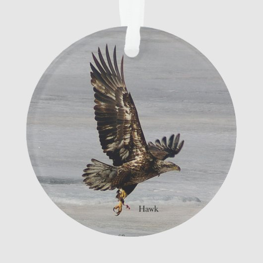 Arcylisch ornament van Hawk (achterkant)