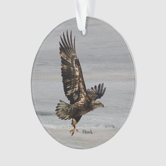 Arcylisch ornament van Hawk (voorkant)