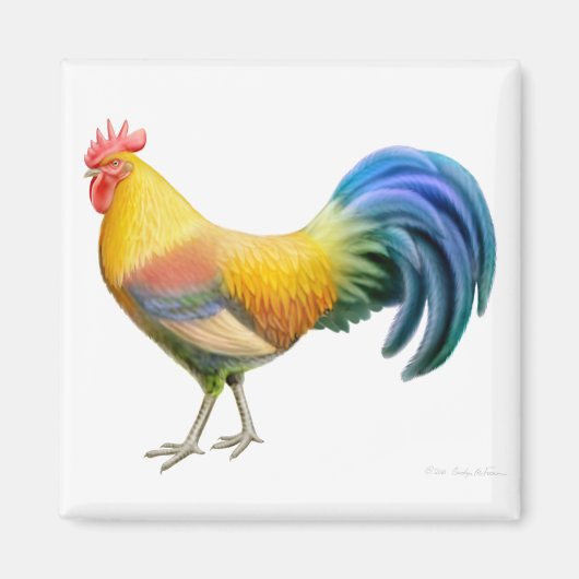 Ardenner Rooster Square Magnet (Voorkant)