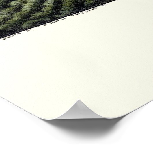 Ardmore, OK Panorama Map - 1891 Poster (Hoek)