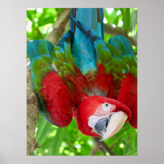 Are you lookin' at me? poster