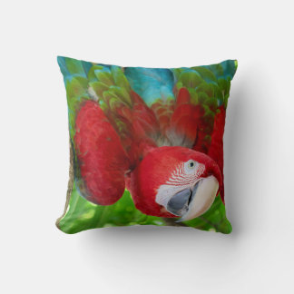 Are you looking at me?  kussen