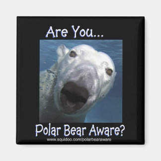 are_you_polar_beer_aware magneet
