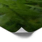 Are You Ready Poster (Hoek)